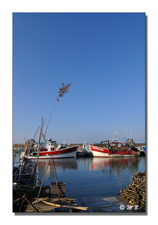 DSC 2375c MB