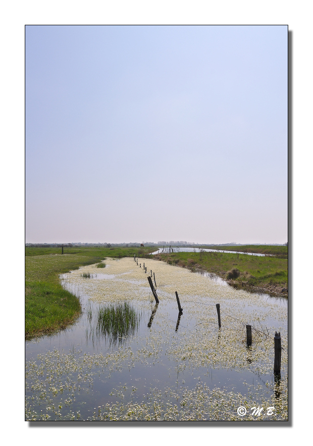 DSC 2547 MB