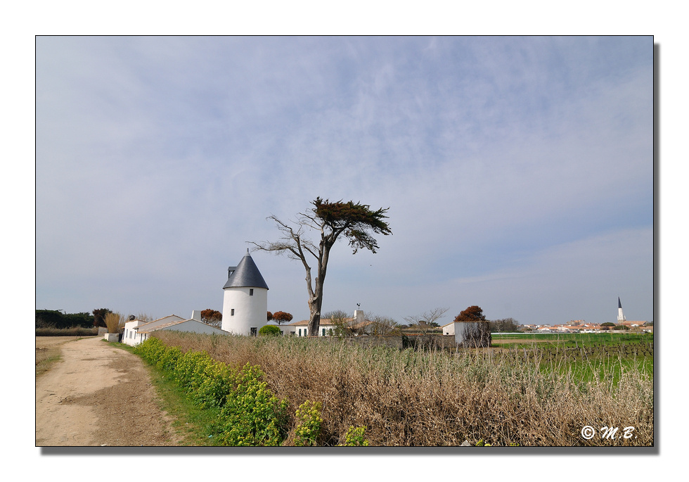 DSC 2738 MB