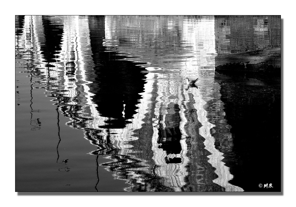 Reflet de Garonne