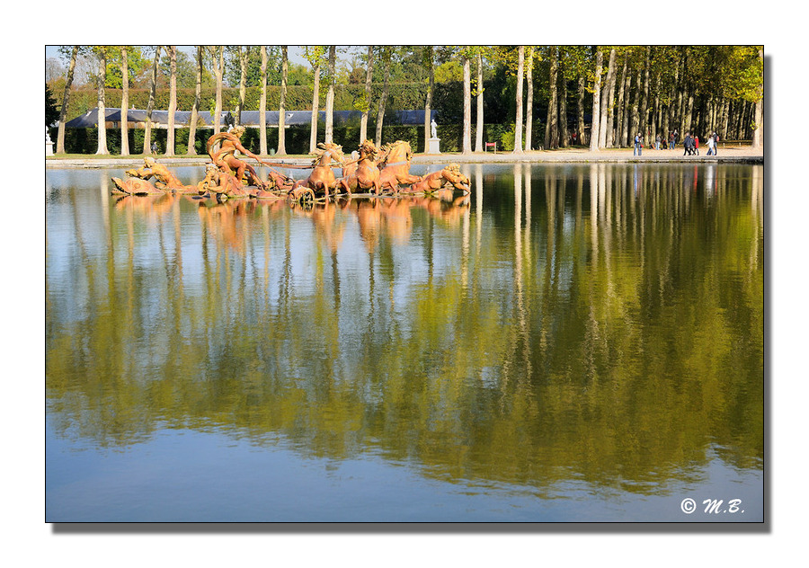 Bassin aux reflets