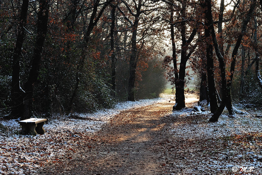 Jour de neige4