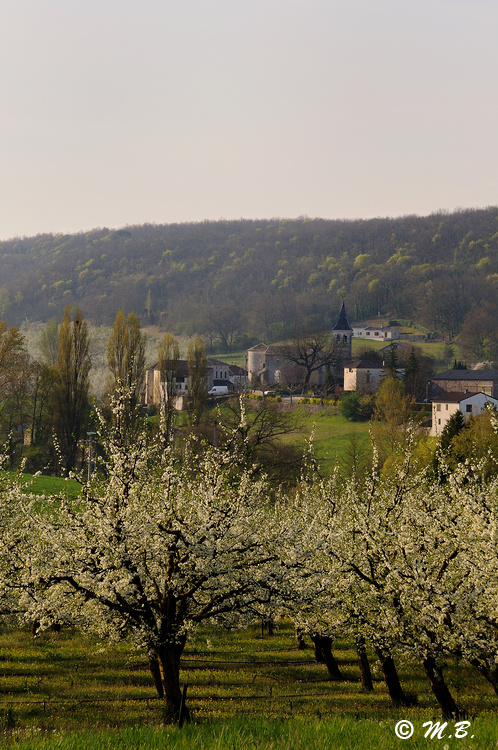 Valeilles au printemps