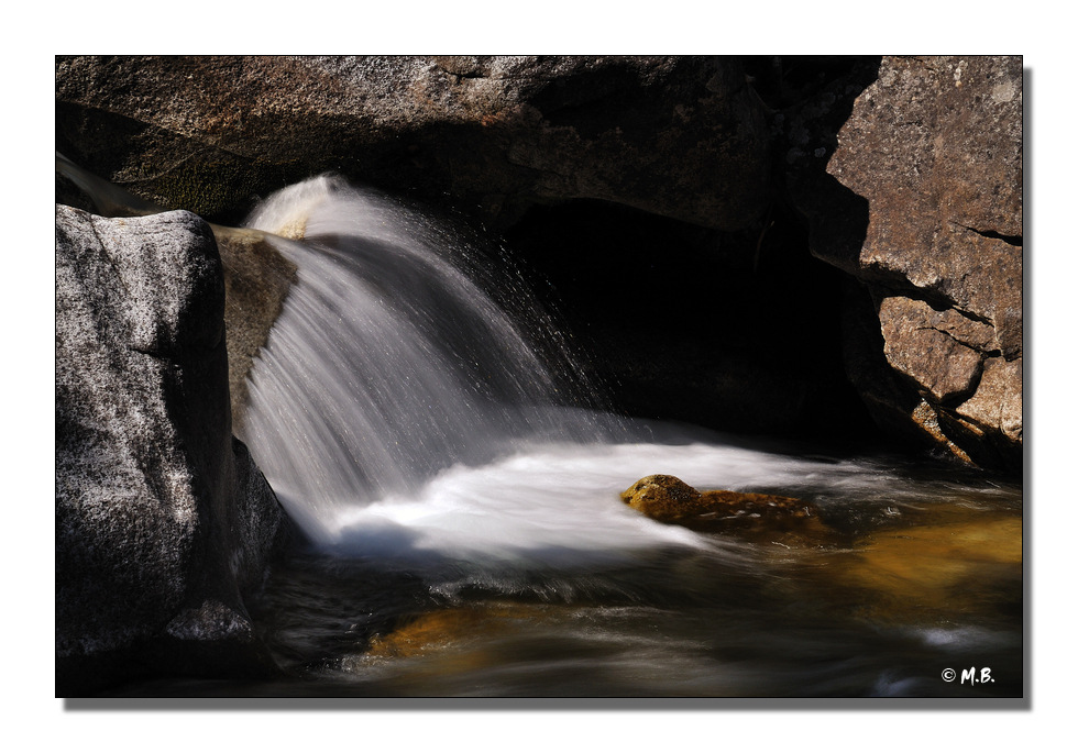DSC 8862 MB