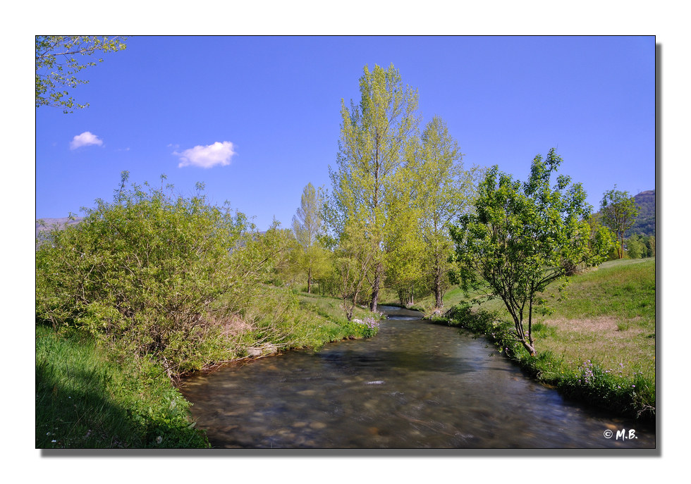 DSC 7287 MB