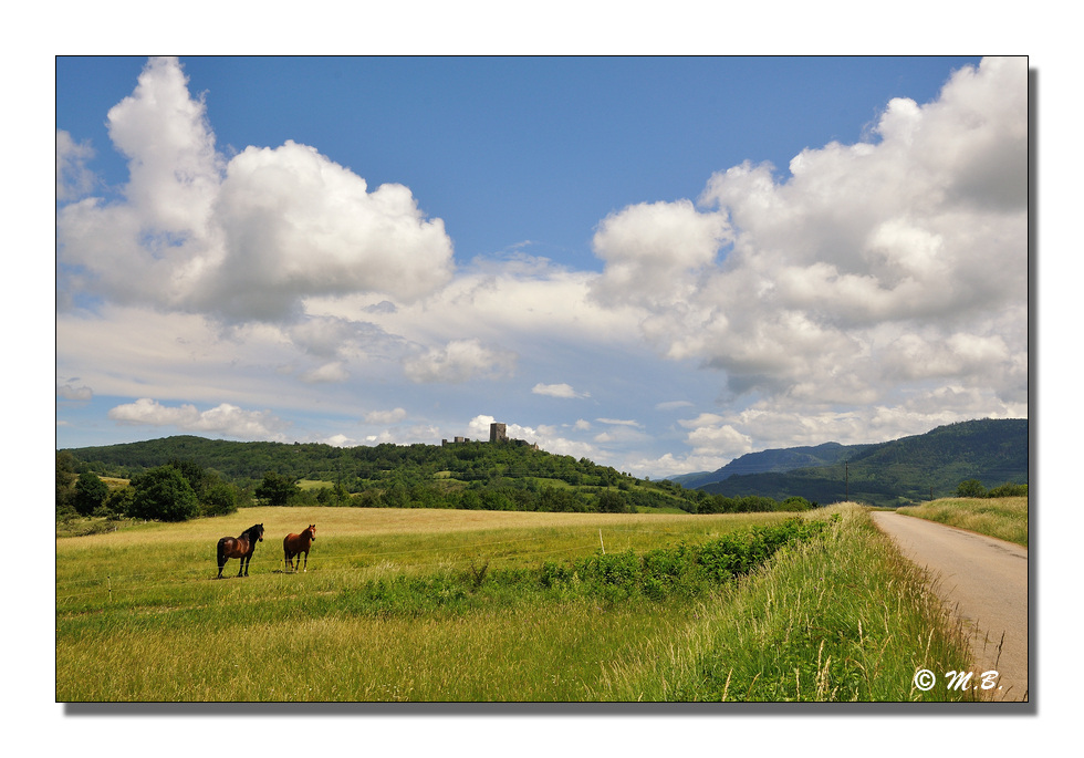 Chevaux de Puivert