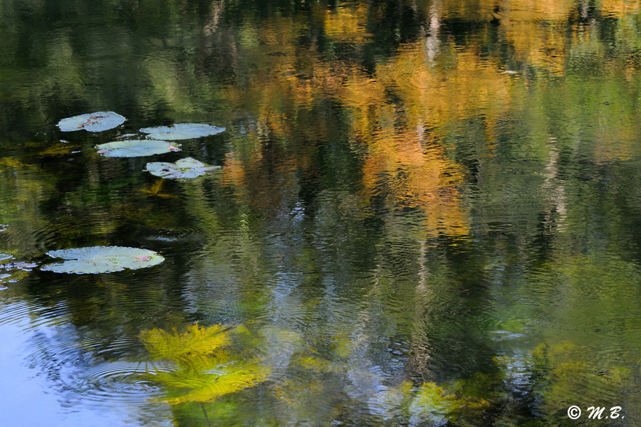 Reflets