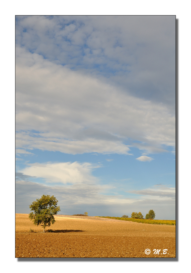 DSC 7807 MB