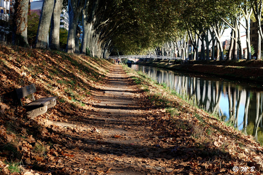 Au bord du canal du midi