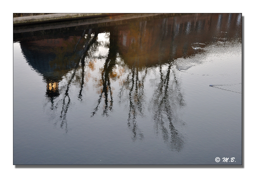 Graves reflets